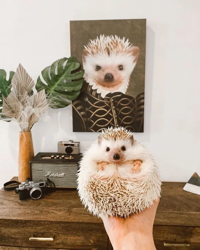 30 Pets With Royal Portraits They Deserve Made By Crown & Paw (New Pics)