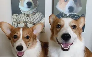 30 Pets With Royal Portraits They Deserve Made By Crown & Paw (New Pics)