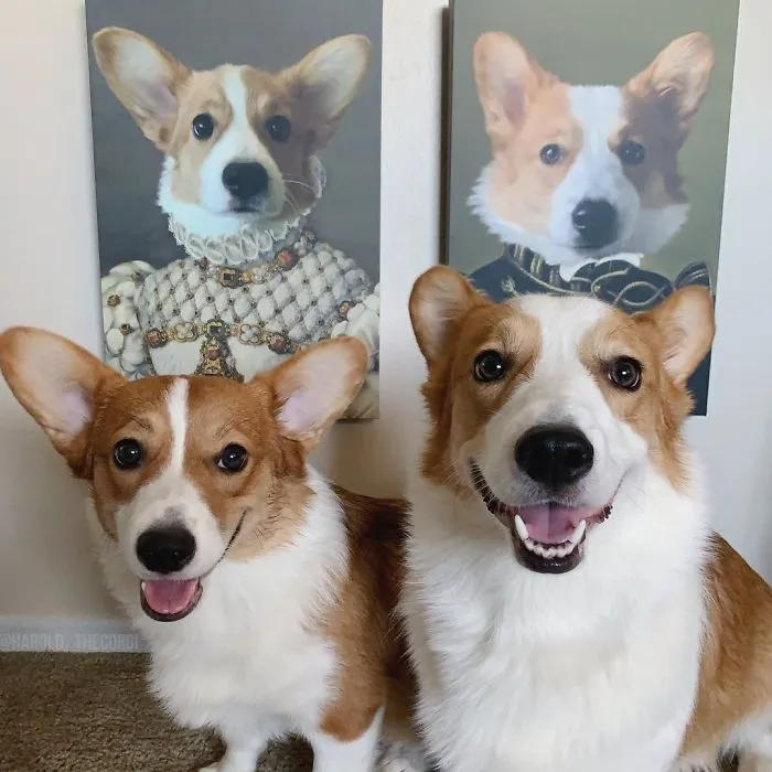 30 Pets With Royal Portraits They Deserve Made By Crown & Paw (New Pics)