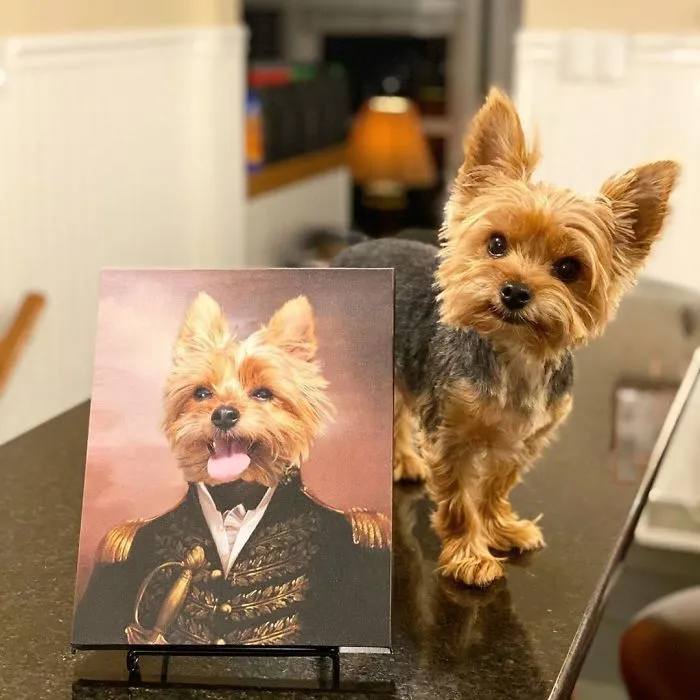30 Pets With Royal Portraits They Deserve Made By Crown & Paw (New Pics)