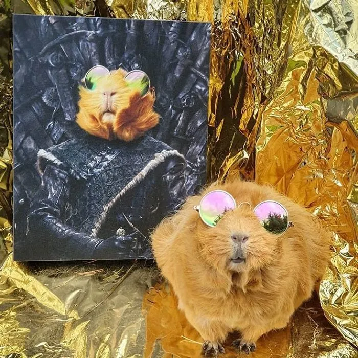 30 Pets With Royal Portraits They Deserve Made By Crown & Paw (New Pics)