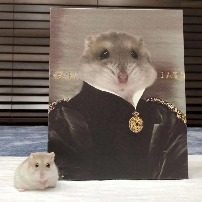 30 Pets With Royal Portraits They Deserve Made By Crown & Paw (New Pics)
