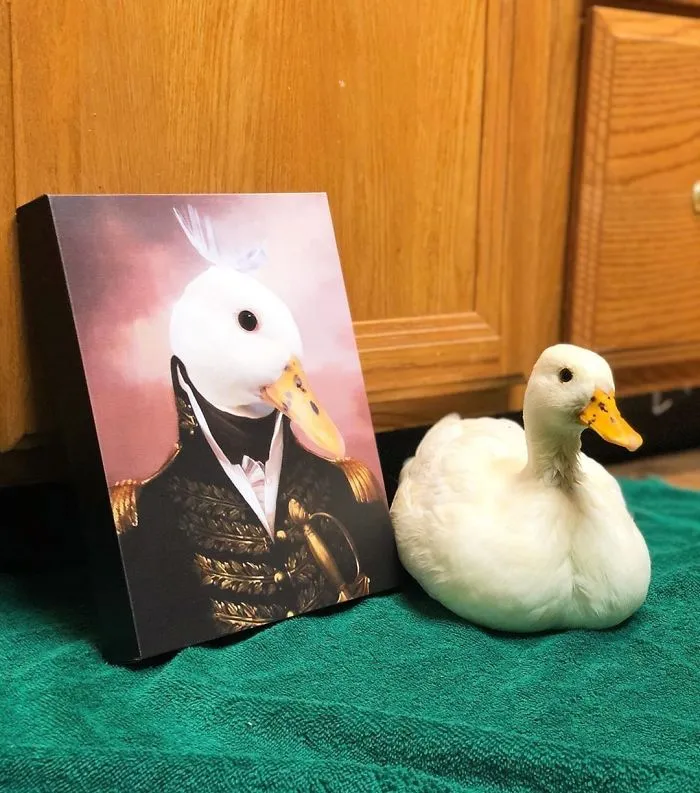30 Pets With Royal Portraits They Deserve Made By Crown & Paw (New Pics)