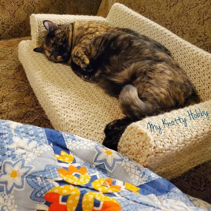 La gente usa su tiempo libre tejiendo a ganchillo pequeños sofás para sus gatos