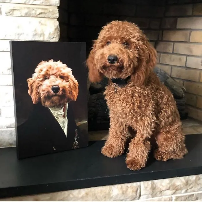 30 Pets With Royal Portraits They Deserve Made By Crown & Paw (New Pics)