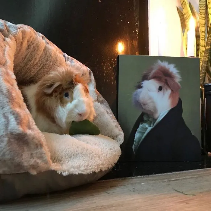 30 Pets With Royal Portraits They Deserve Made By Crown & Paw (New Pics)