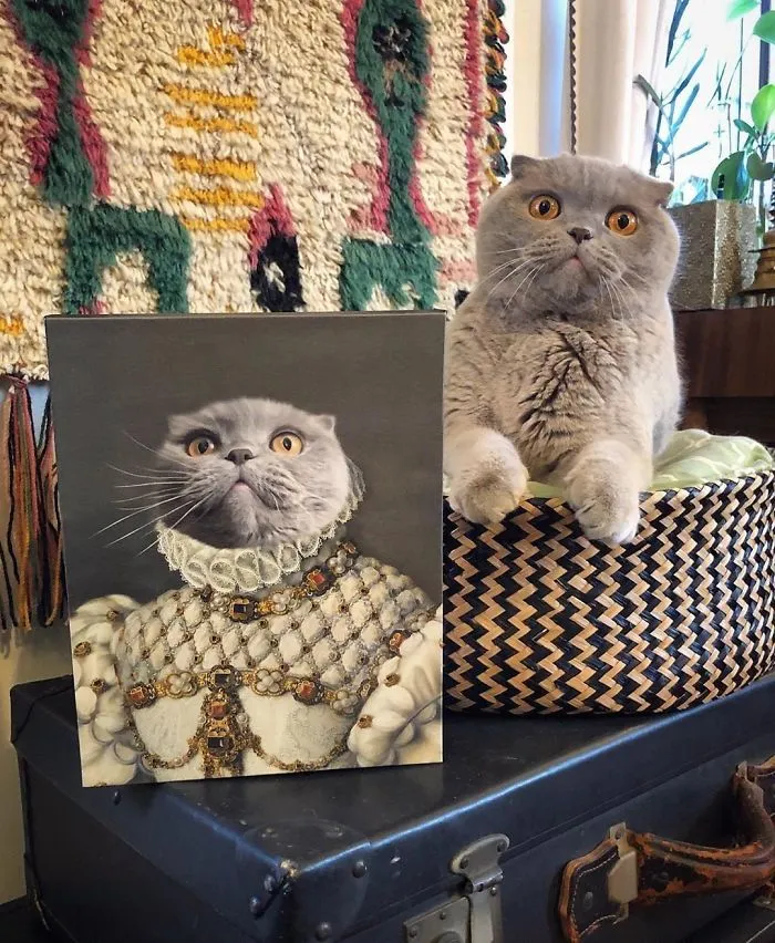 30 Pets With Royal Portraits They Deserve Made By Crown & Paw (New Pics)