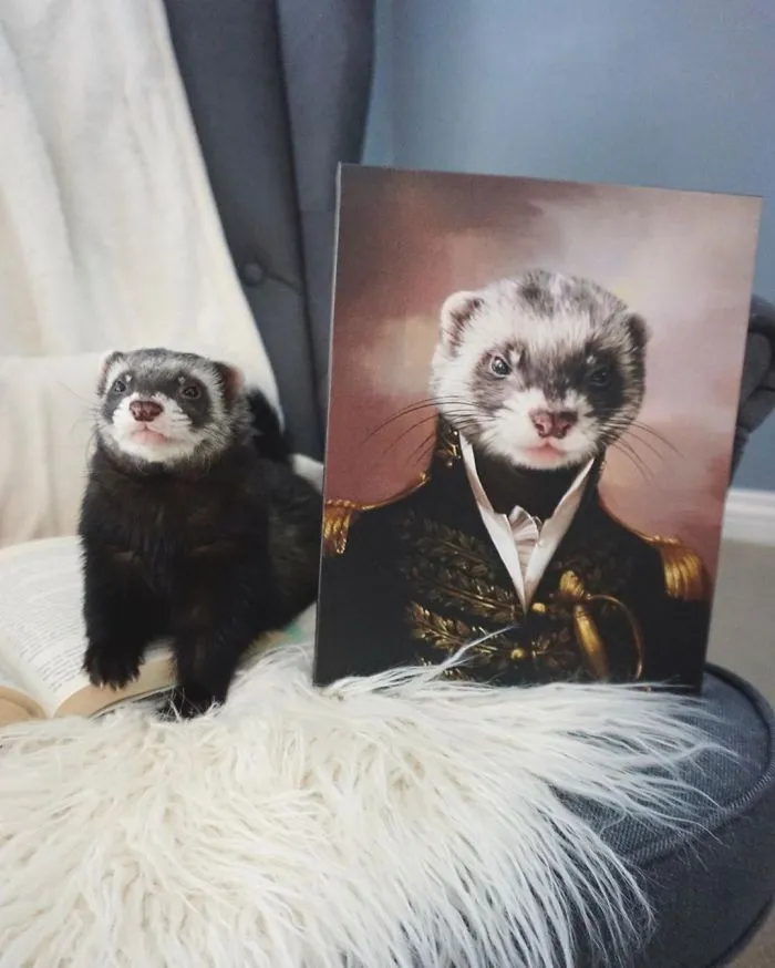 30 Pets With Royal Portraits They Deserve Made By Crown & Paw (New Pics)