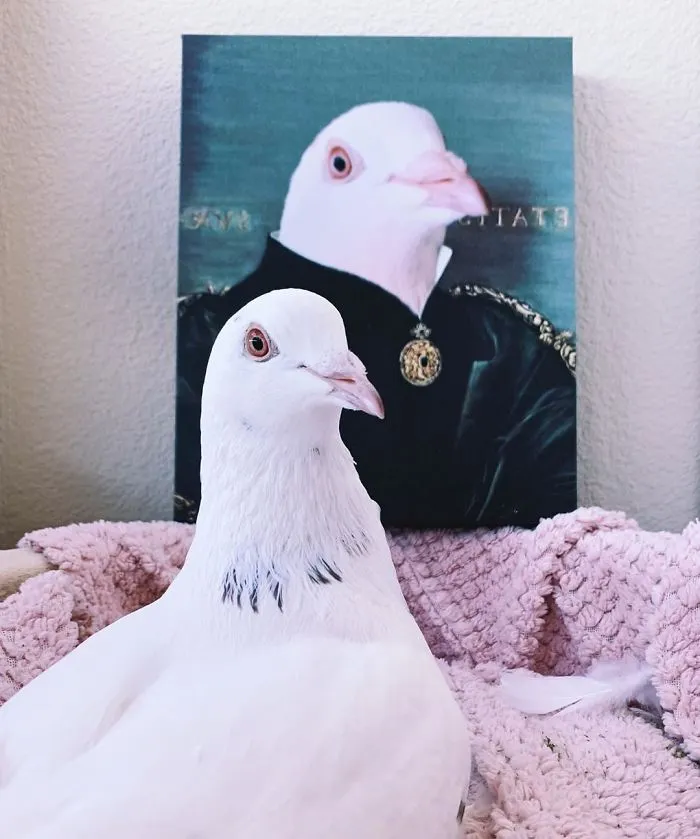 30 Pets With Royal Portraits They Deserve Made By Crown & Paw (New Pics)
