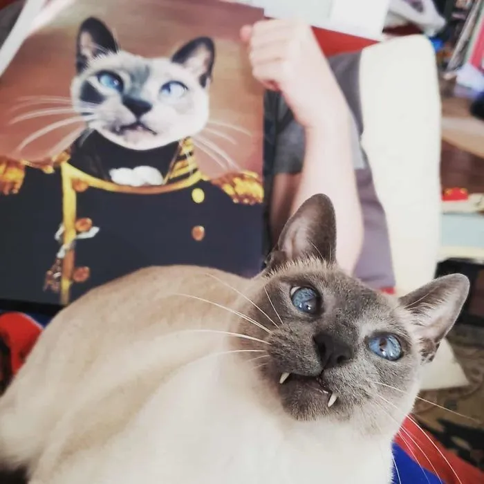 30 Pets With Royal Portraits They Deserve Made By Crown & Paw (New Pics)