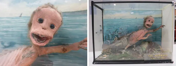 The National Museums Scotland Raised To The Challenge With Their Lovely Mermaid