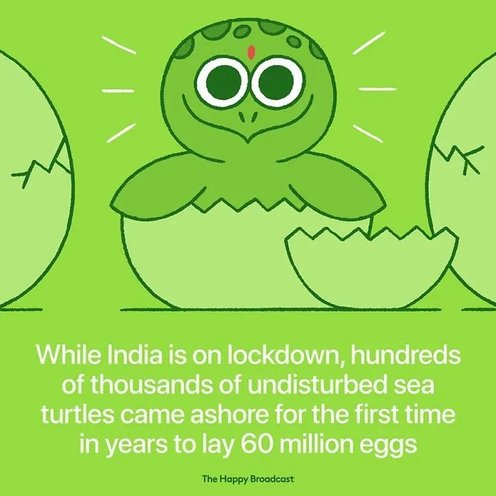 I’m Honestly Fed Up With All The Bad News, So I Illustrated 15 Of The Best Ones About The Coronavirus Situation