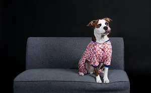 Pitties And Pj's