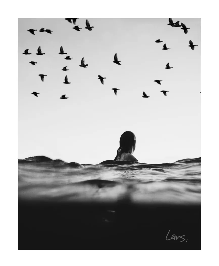 Birds Above She