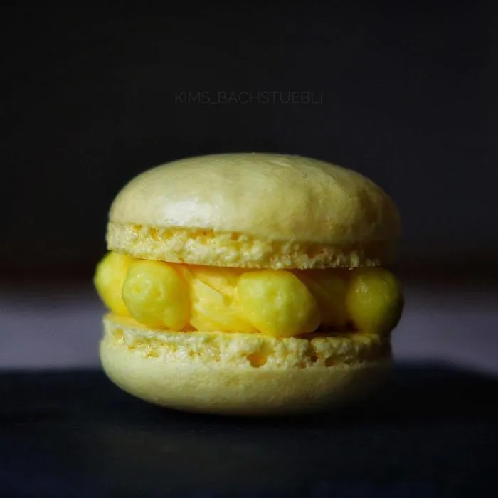 This Baker Has Mastered The Art Of Decorative Macarons And Here Are 27 Of The Best Ones
