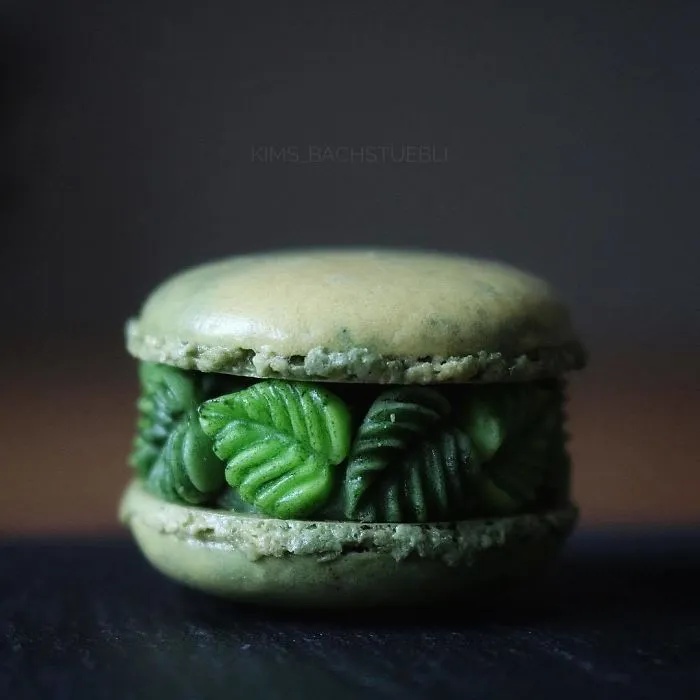 This Baker Has Mastered The Art Of Decorative Macarons And Here Are 27 Of The Best Ones