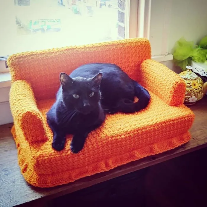 La gente usa su tiempo libre tejiendo a ganchillo pequeños sofás para sus gatos