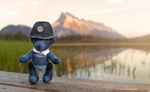 A Travelling Bear Is Facing A Global Pandemic Just Like The Rest Of Us.