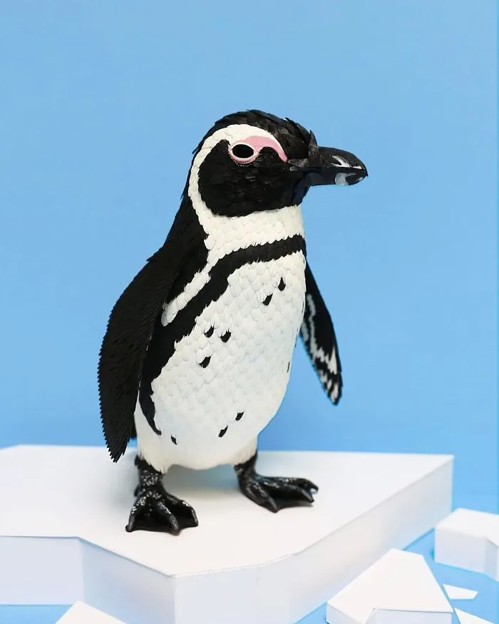 Artist Uses Paper To Recreate Bird Species All Around The World (30 Pics)
