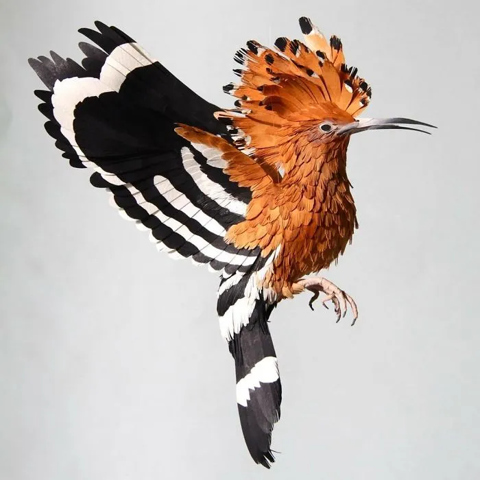 Artist Uses Paper To Recreate Bird Species All Around The World (30 Pics)