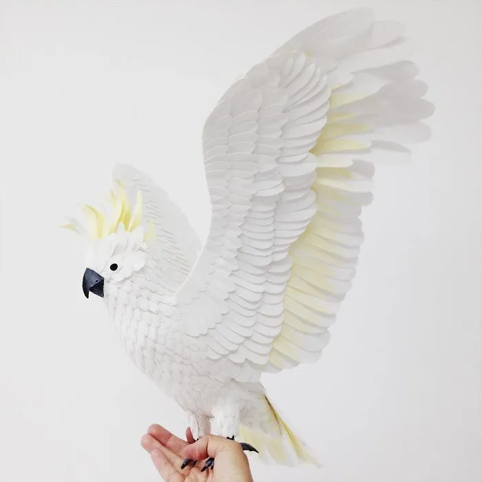 Artist Uses Paper To Recreate Bird Species All Around The World (30 Pics)