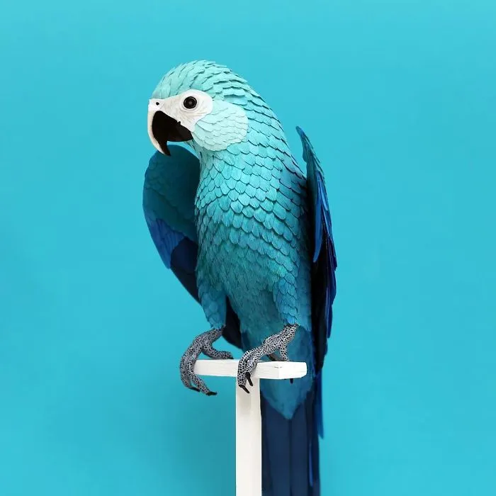 Artist Uses Paper To Recreate Bird Species All Around The World (30 Pics)