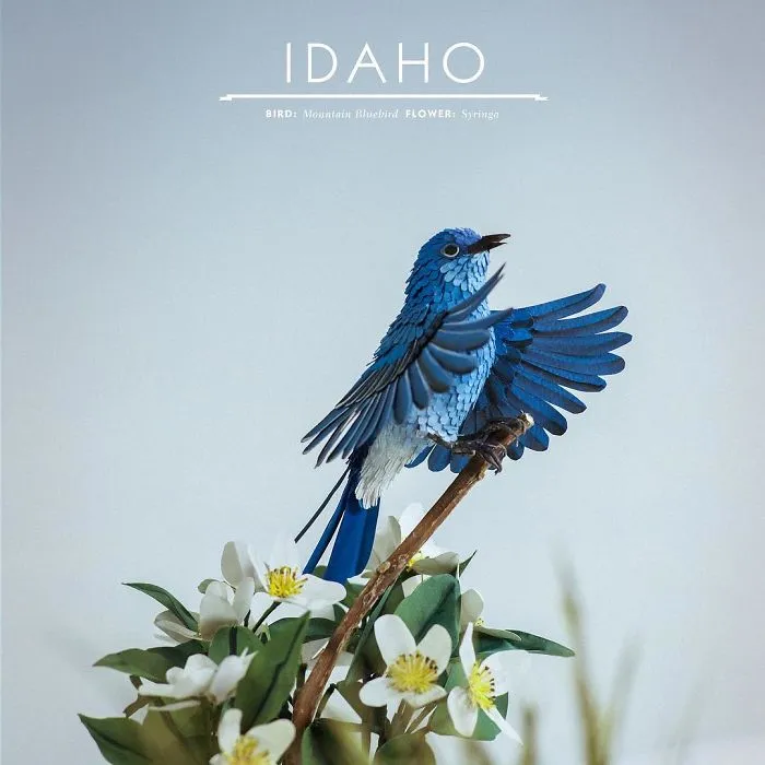 Artist Uses Paper To Recreate Bird Species All Around The World (30 Pics)