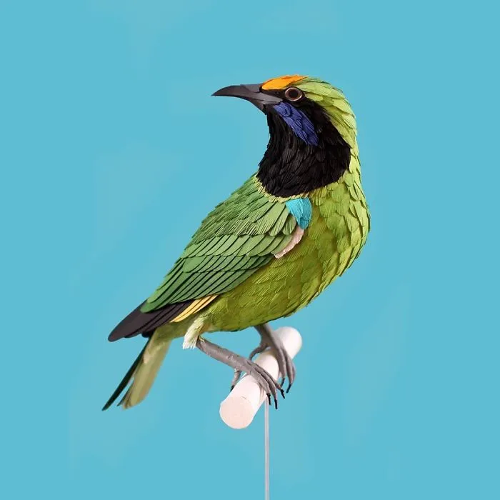 Artist Uses Paper To Recreate Bird Species All Around The World (30 Pics)