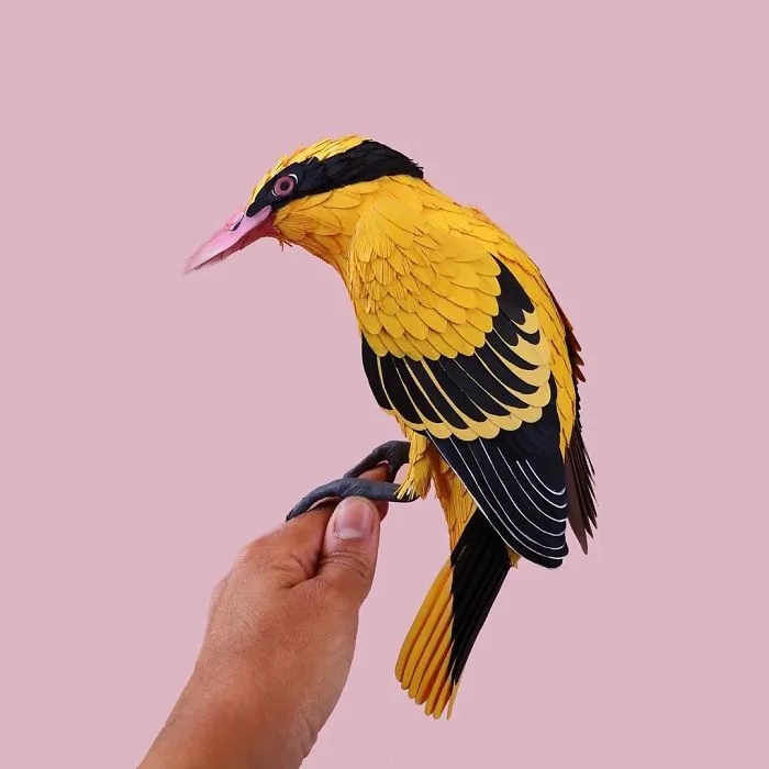 Artist Uses Paper To Recreate Bird Species All Around The World (30 Pics)