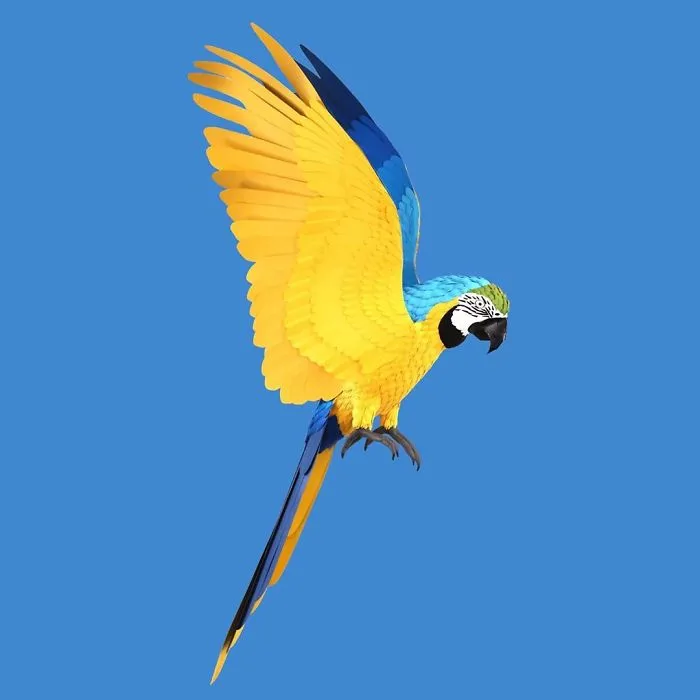 Artist Uses Paper To Recreate Bird Species All Around The World (30 Pics)