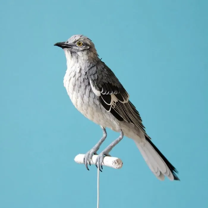 Artist Uses Paper To Recreate Bird Species All Around The World (30 Pics)