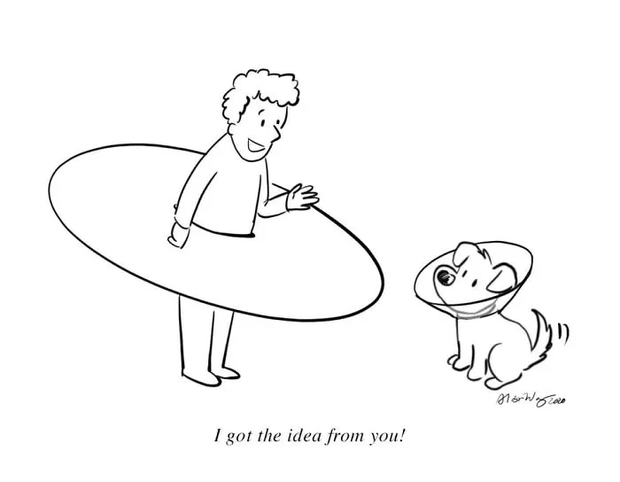 My 20 Comics To Bring Positivity And Humor To Our Shared Situation