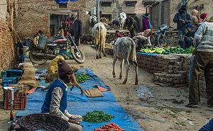 I Photographed The People Of Rural India And Captured Images Of Their Everyday Lives