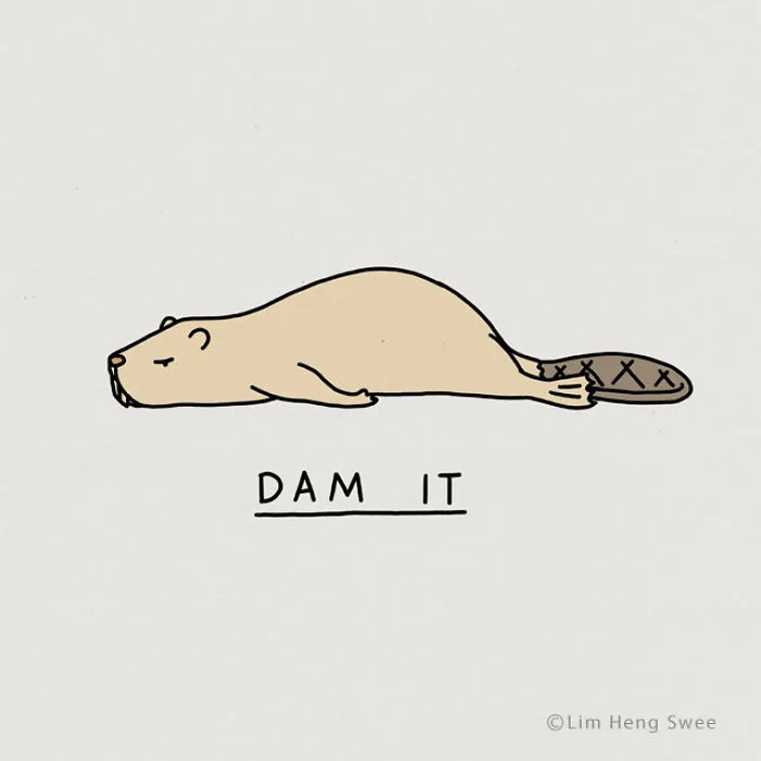 Beaver
