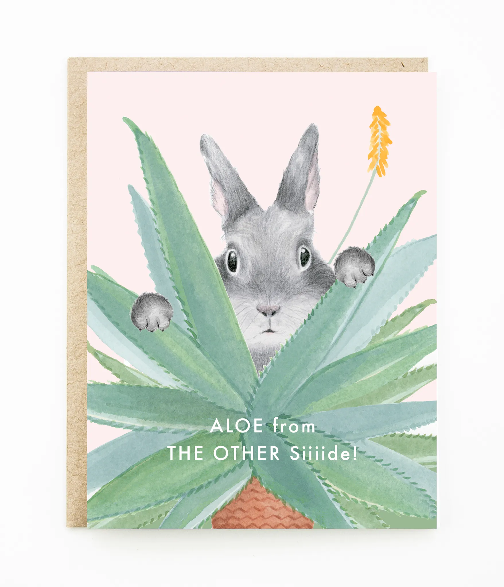 Let's Hope That The Lifespan Of These Dear Hancock Bunny Cards Is Short