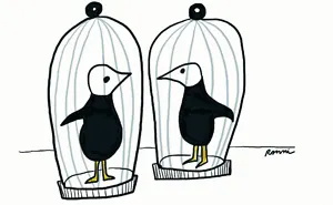 The Aviary In My Head Helps Me Through Quarantine And Makes Sure I Don't Kill The Kids