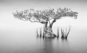 50 Of The Best Entries From Our 'Water 2020' Photography Competition