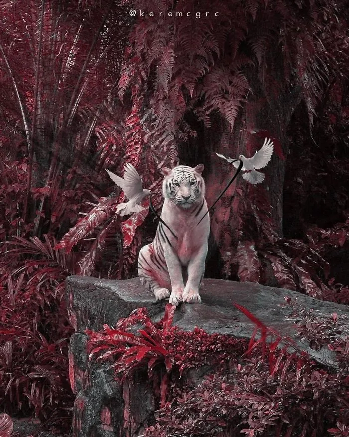 My 24 Surreal Photo Manipulations (New Pics)