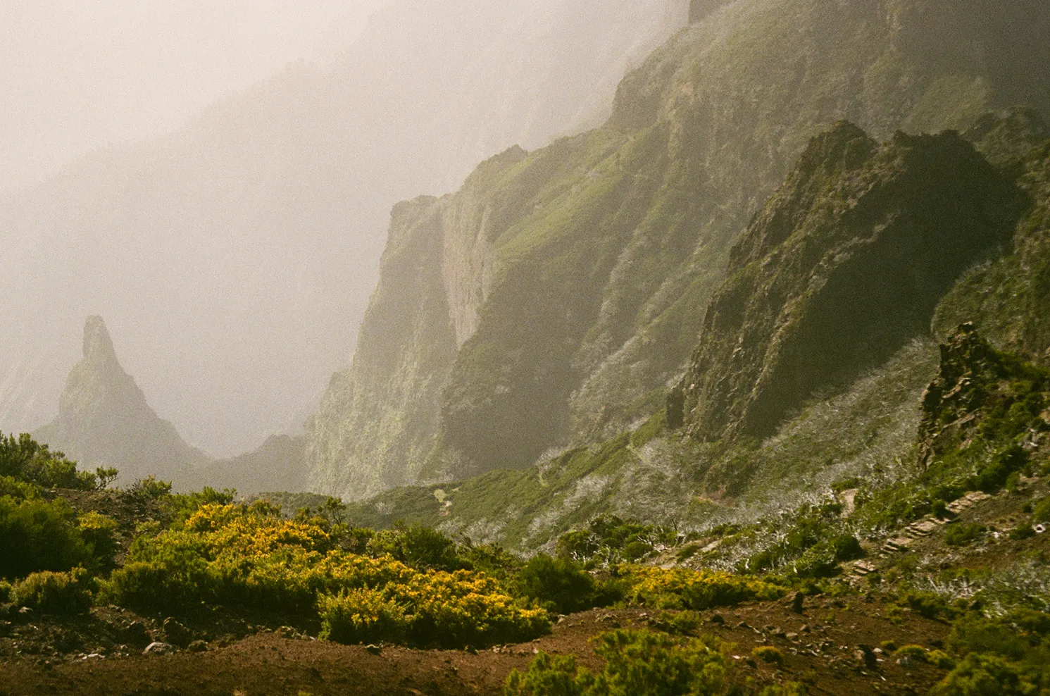 I Captured Madeira's Beauty With 35mm Film Camera