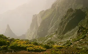I Captured Madeira's Beauty With 35mm Film Camera