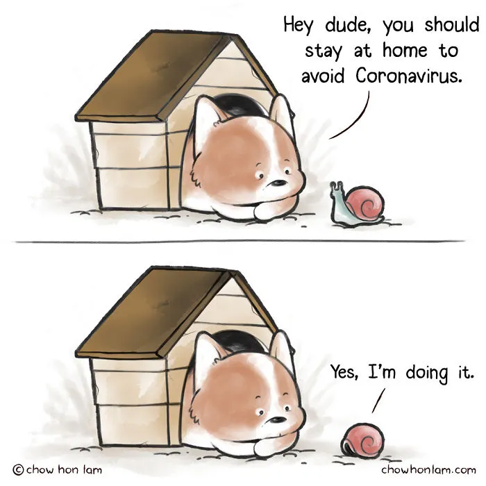 Stay At Home