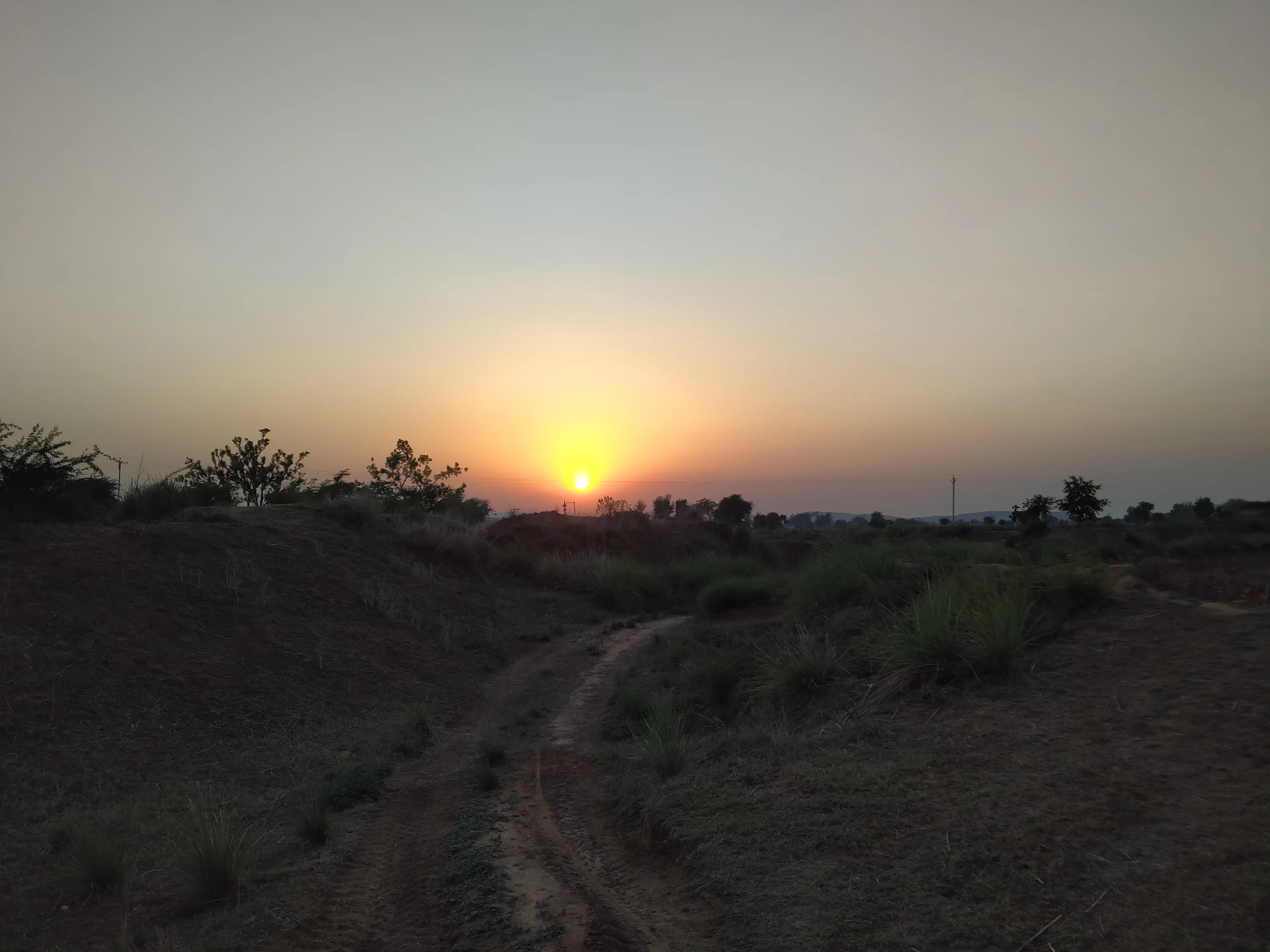 Evening Taim Photografy