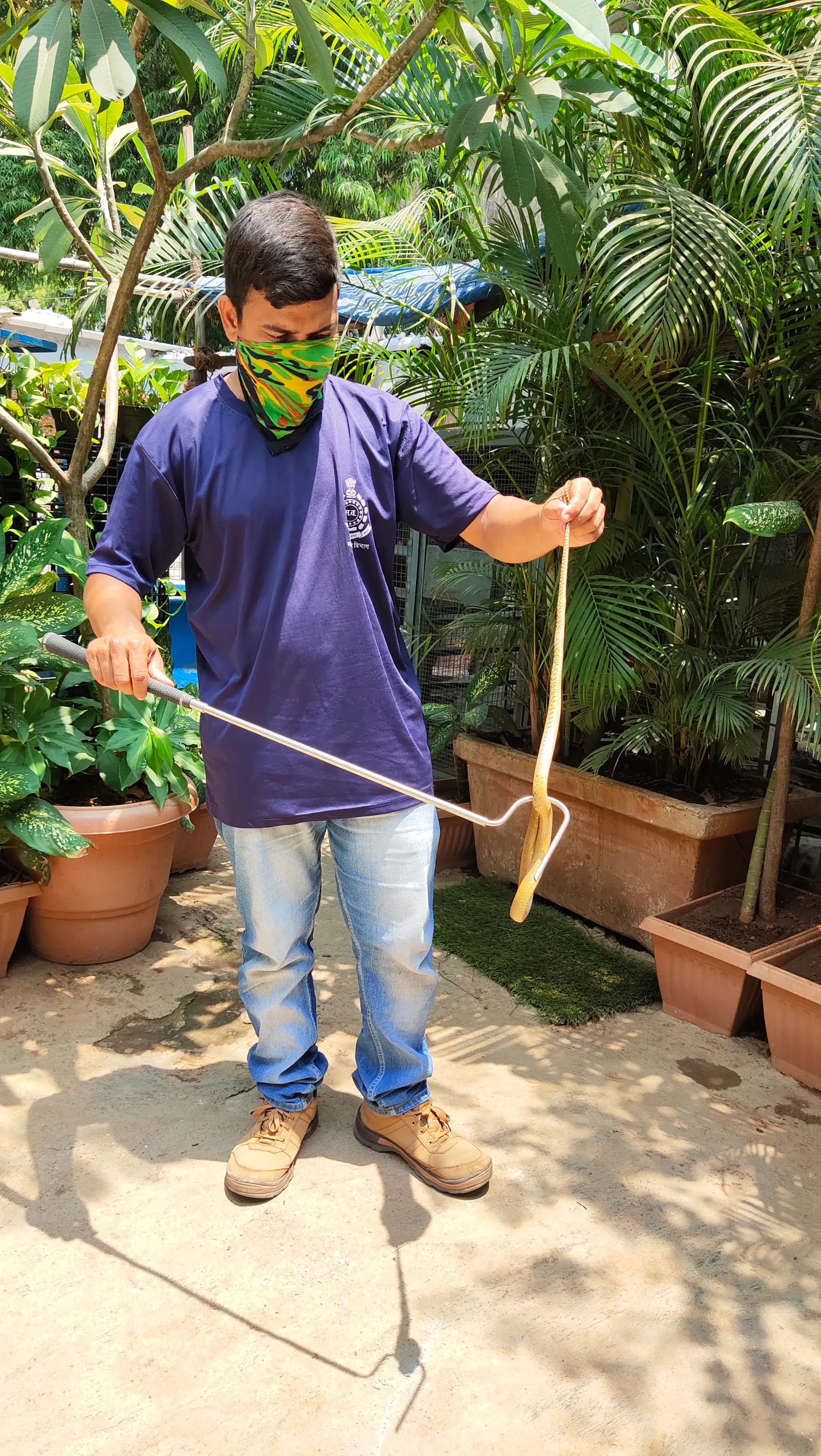 Compassion For Animals – The Snake Story