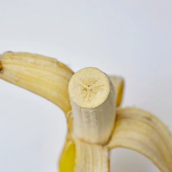 124 Realistic Food Embroidery Designs by Ipnot Might Make Your Mouth Water