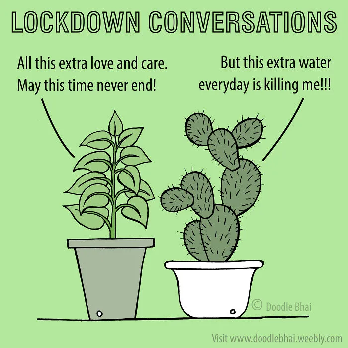Ordinary Plant And Cactus