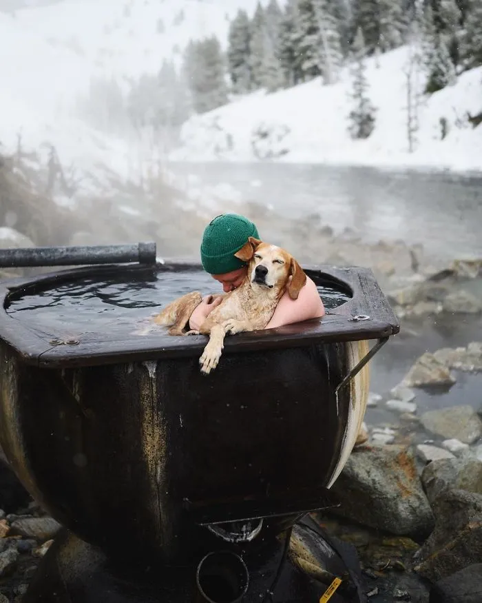 Rescue Dog Maddy, Known For Balancing On Things, Travels Across The US With Her Owner (30 New Pics)