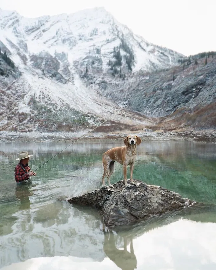 Rescue Dog Maddy, Known For Balancing On Things, Travels Across The US With Her Owner (30 New Pics)