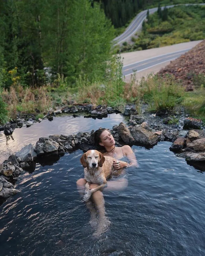 Rescue Dog Maddy, Known For Balancing On Things, Travels Across The US With Her Owner (30 New Pics)