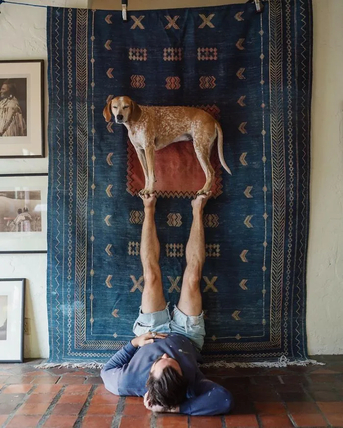 Rescue Dog Maddy, Known For Balancing On Things, Travels Across The US With Her Owner (30 New Pics)