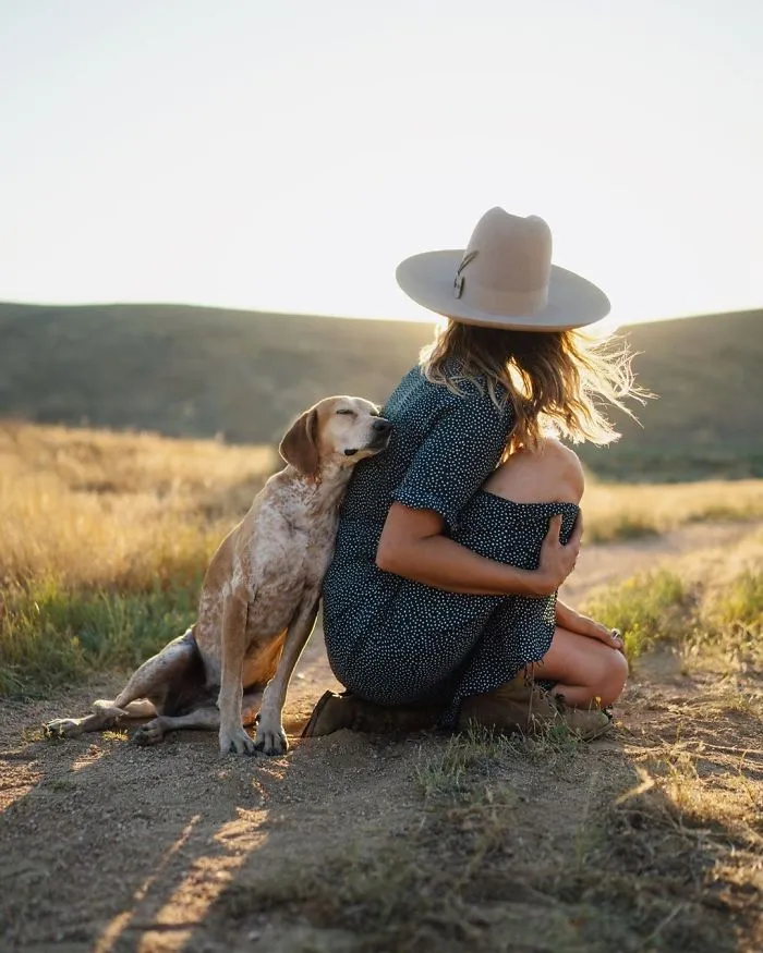 Rescue Dog Maddy, Known For Balancing On Things, Travels Across The US With Her Owner (30 New Pics)